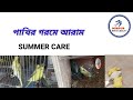 পাখির জন্য গরমের আরাম। HOW WE GIVE BETTER IN SUMMER? #birds_beauty