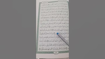 الزمر، الآية ٤٣،٤٤