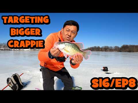 Chasing Big Crappie Through The Ice W/ Eurotackle Lures!!! [s16/ep9]
