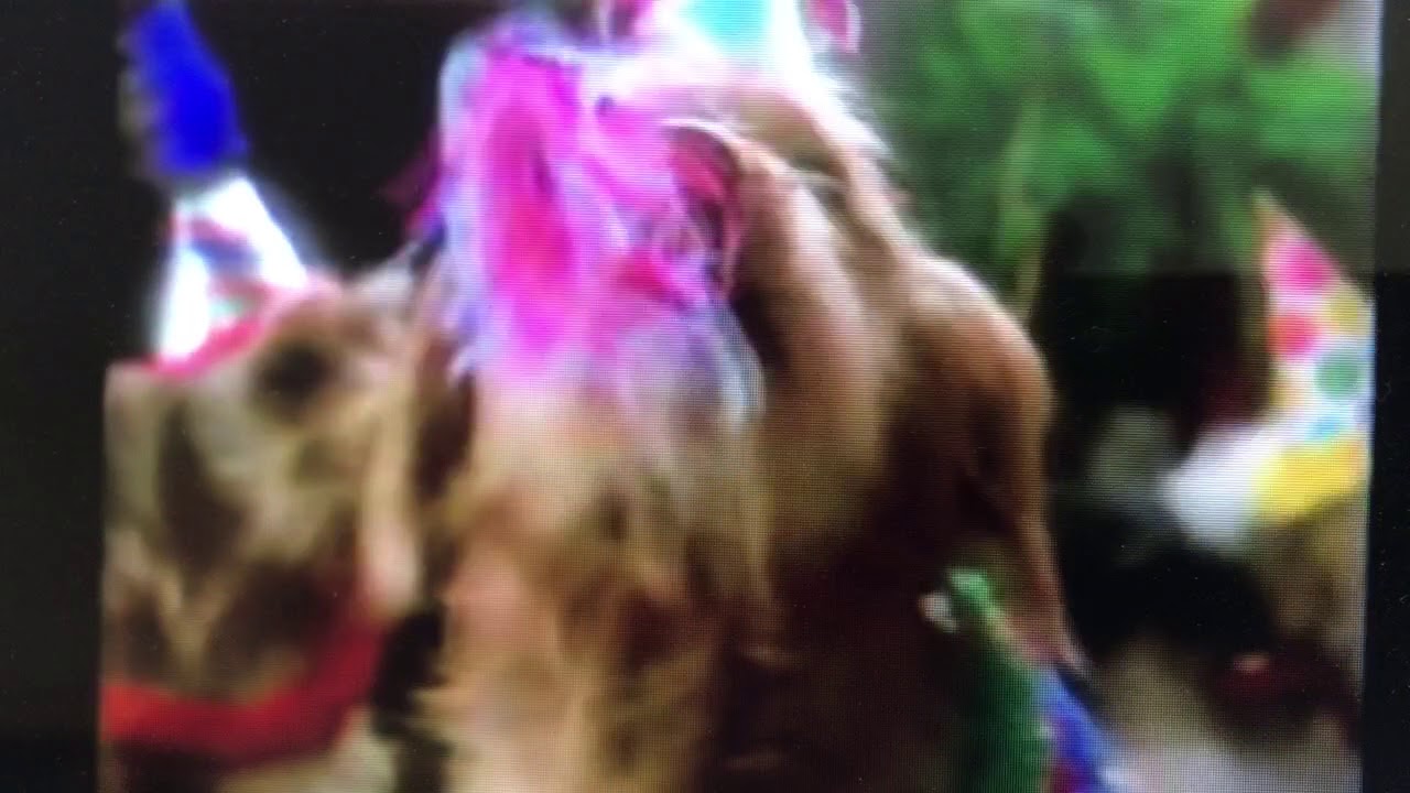 Crazy KenL Ration dog food commercial 1980’s YouTube