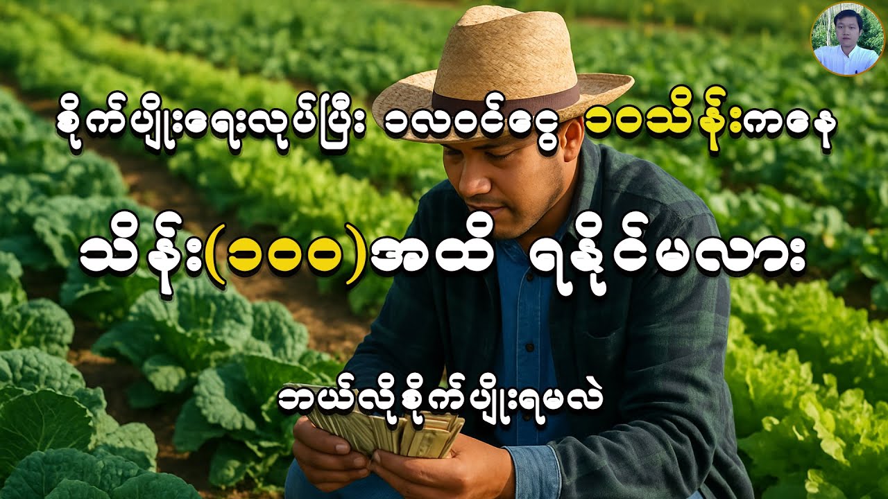 စိုက်ပျိုးရေးလုပ်ပြီး ဝင်ငွေကောင်းအောင် ဘယ်လိုစိုက်ပျိုးရလဲ - How to grow vegetables.