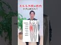 【太もも細くする】足を横に振るだけでゴツイ太もも細くする