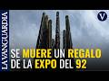 Un cactus con 1.500 años de vida necesita ayuda en Sevilla para poder seguir en pie