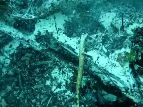 Florida Springs underwater footage 2007