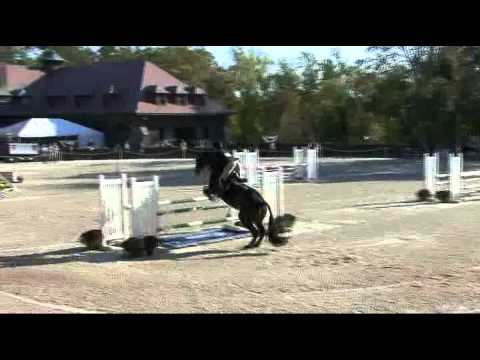 Laura Pfeiffer on Catwoman - The Platinum Performance/USEF - Show Jumping Talent East 2010