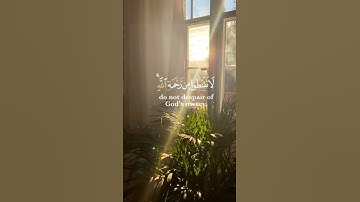 تلاوة هادئة 🍃 #تلاوات #qurantranslation  ، القارئ أدهم النابلسي 💜