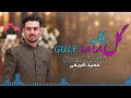     2026 حمید شریفی آهنگ جدید پرسوز گل لاله
