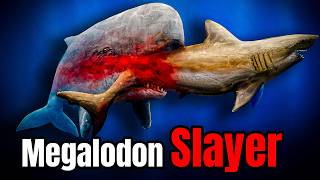 Download Lagu The Only Predator Megalodon Was TERRIFIED Of MP3 Download Lagu The Only Predator Megalodon Was TERRIFIED Of MP3