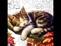 Sleeping cat #shorts #shortvideo #viral #viralvideo #video #youtubeshorts #subscribe #fyp #cat #cats