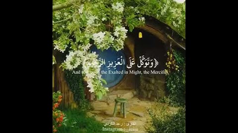 القارئ رعد الكردى | حالات واتس اب قصيره من القران ❤