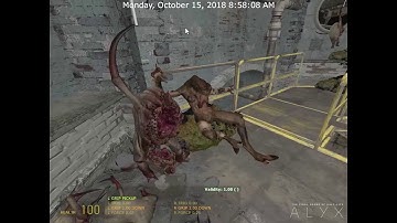 THE FINAL HOURS OF HALF-LIFE: ALYX - VORT SCENE