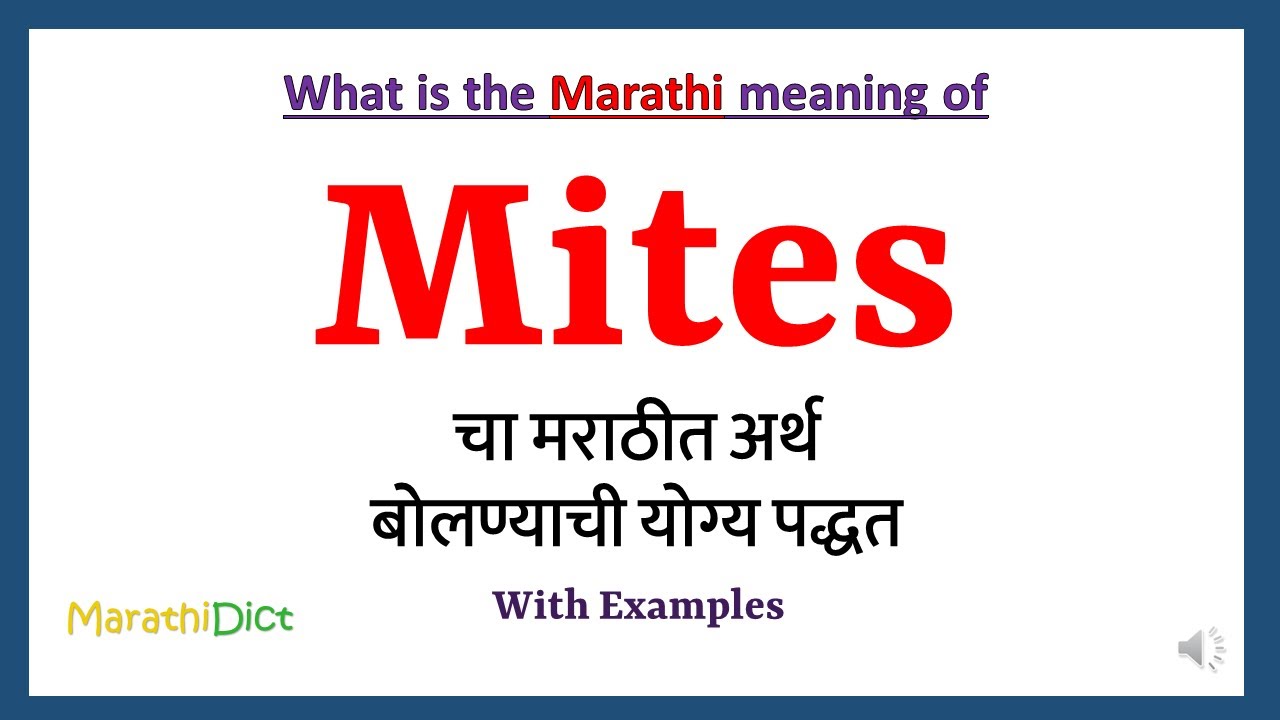Mites Meaning In Marathi Mites Mites In Marathi 