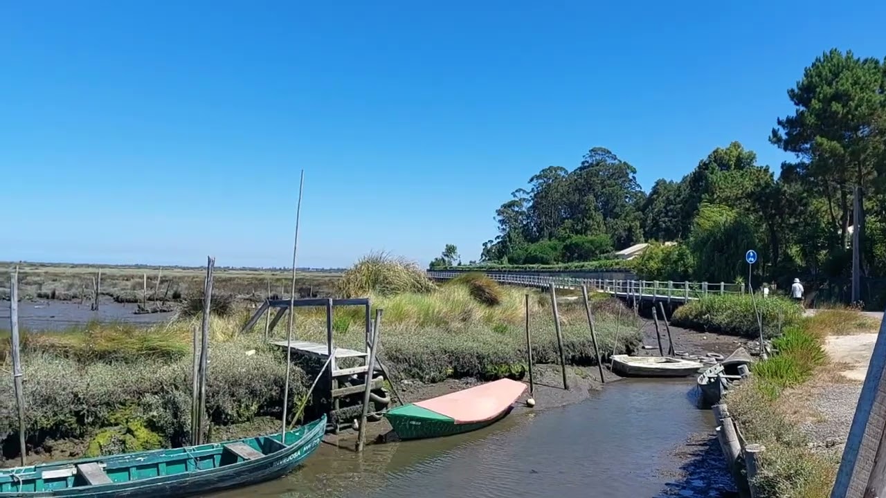 Passadiços da Ria de Aveiro