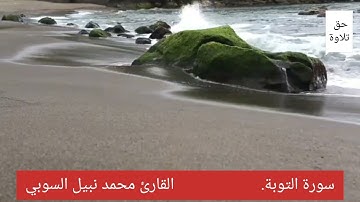 ما تيسر من سورة التوبة #محمد_نبيل_السوبي