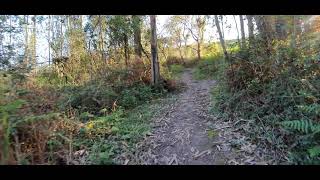 Banco mirador Bustiellu (Argüero - Asturias): sendero