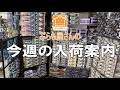 【プラモデル】今週の入荷案内【2026/03/13】