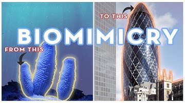 Biomimicry in Architecture with Examples and Concepts.