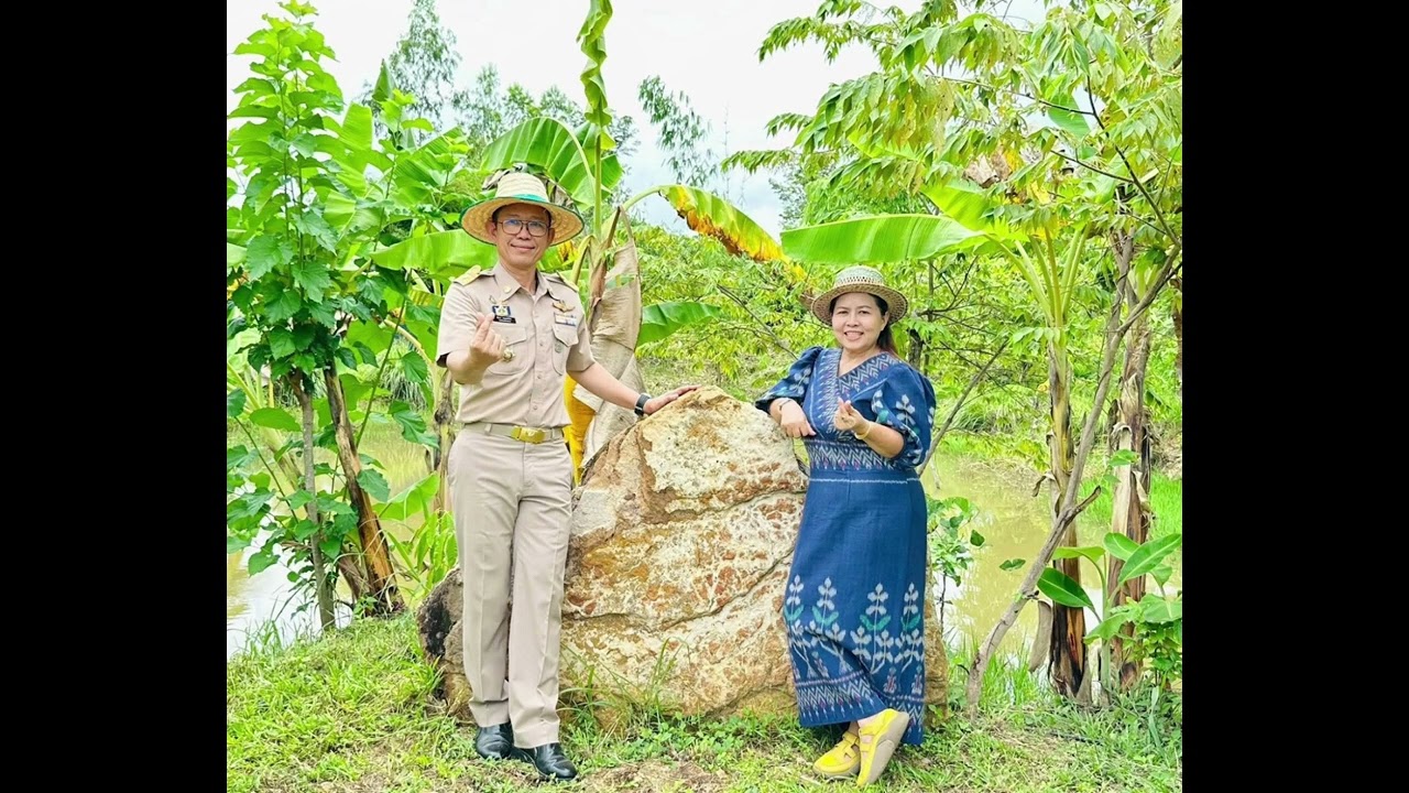 มนต์เสน่ห์ไร้ผู้ใหญ่บุดดี ฟาร์ม ผาน้ำย้อย