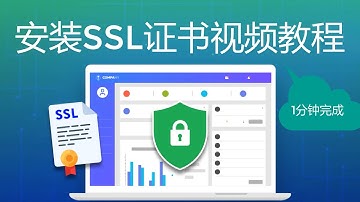 2025 安装SSL证书视频教程: 0基础1分钟完成设置与安装SSL在WordPress网站, 最新免费指南
