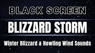Sleep Through the Blizzard | Howling Wind, Heavy Snowstorm & Cozy Winter White Noise