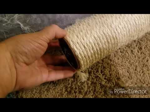 Tutorial: How to Restore Scratching Post