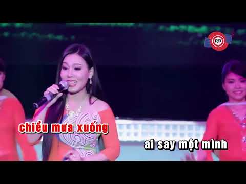 KARAOKE | Tự Tình Quê Hương - Lưu Ánh Loan | KARAOKE Beat Chuẩn Giọng Nữ ( Có Lời )