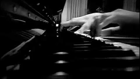 Selina Transforms - Eduardo Madrigal Bravo