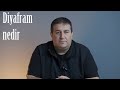 Diyafram nedir