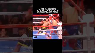 Naoya Inoue(Japan) vs Antonio Nieves(Cuba) TKO | FIGHT HIGHLIGHTS #boxeo #naoyainoue #trendingshort