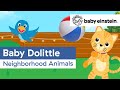 Neighborhood animals  baby einstein classics  learning show for toddlers  kids cartoons