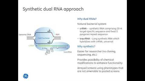 John Schiel-Optimizing homology directed repair HDR results with CRISPR Cas9