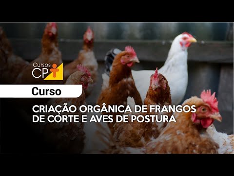 Curso a Distância Criação Orgânica de Frangos de Corte e Aves de Postura