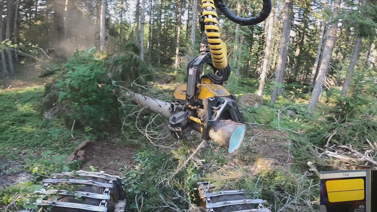 Juhannusviikon alkuun kuusikko aukon tekoa ja juttua viikon tapahtumista. Ponsse Scorpion King H7.