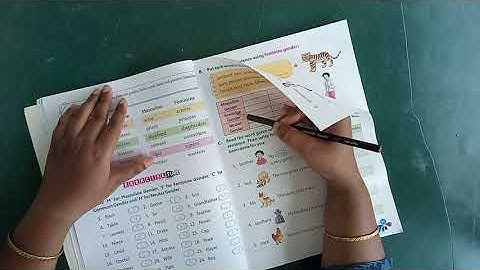 ENGLISH-II, CLASS II, CHAPTER-5, GENDER: MALE OR FEMALE, PART-1