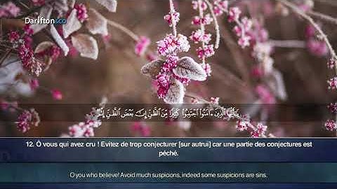 قران كريم بصوت جميل جدا جدا يشرح القلب سورة الحجرات كاملة