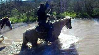 DSCF0850.avi