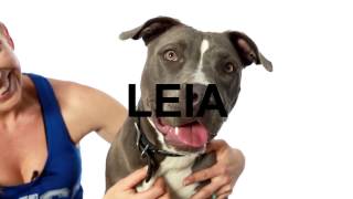 Adopt Leia at NKLA