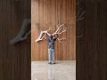 Living room decoration made with a tree branch