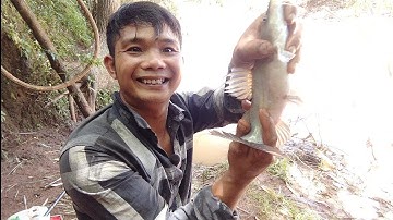 câu suối tự nhiên ,lên cá lăng cá lôi công cần rít cước