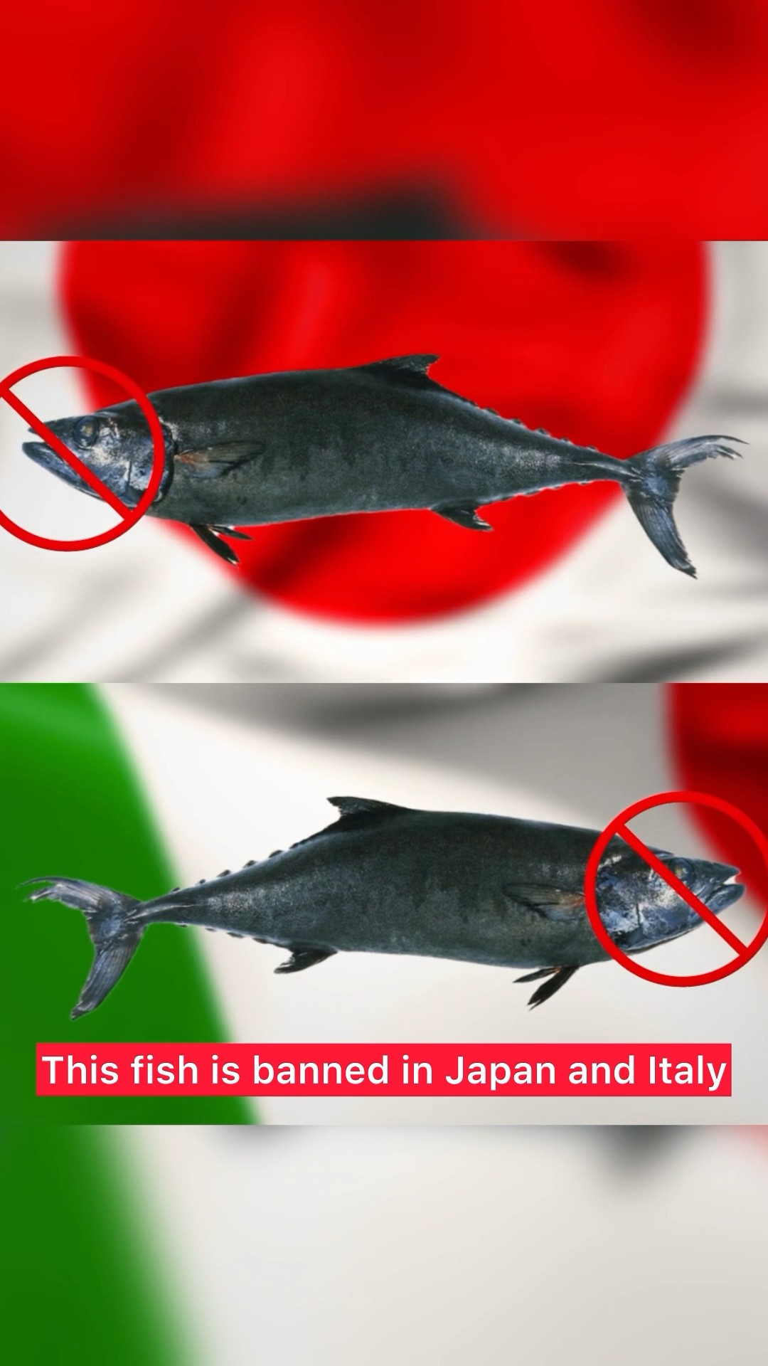 Sushi's Sneaky Impostor ? The Surprising Truth! #funfacts