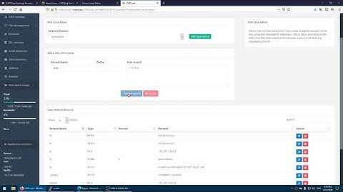 CWP 7 DNS TXT add error, user interface