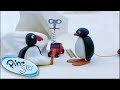 Pingu And The Red Wind Up Car! @Pingu - Official Channel   1 Hour | Cartoons for Kids