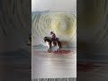Al sol – art video BCN, arte urbano, streetart video