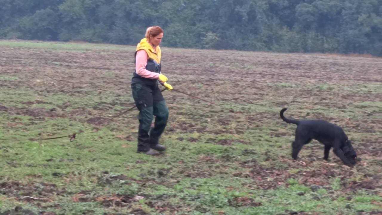 след сб 2409 - YouTube