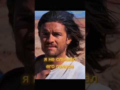 'Мусульмане никогда не забудут этого' #кино #моменты #shortvideo #шортс #shortsyoutube
