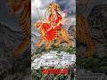 Ma Durga stetus Mata Rani Shera wali mata 🌹🌹🌹🙏 #matarani #song #hindustani #newsong