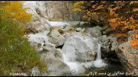 الشيخ عبدالولي بن محمد الأركاني ،ولد بمكة المكرمة 1983 , آيات من سورة الأعراف .