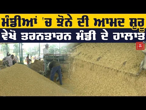 Mandi `ਚ ਪੁੱਜੀ ਝੋਨੇ ਦੀ ਫਸਲ, ਪਰ Farmers ਦੇ ਚਿਹਰੇ ਤੋਂ ਰੌਣਕ ਗਾਇਬ