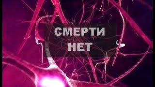 СМЕРТИ НЕТ. Сенсационные факты.