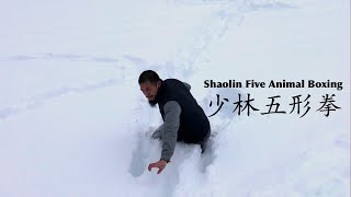 少林五形拳 | Shaolin Wu Xing Quan | Five Animal Boxing